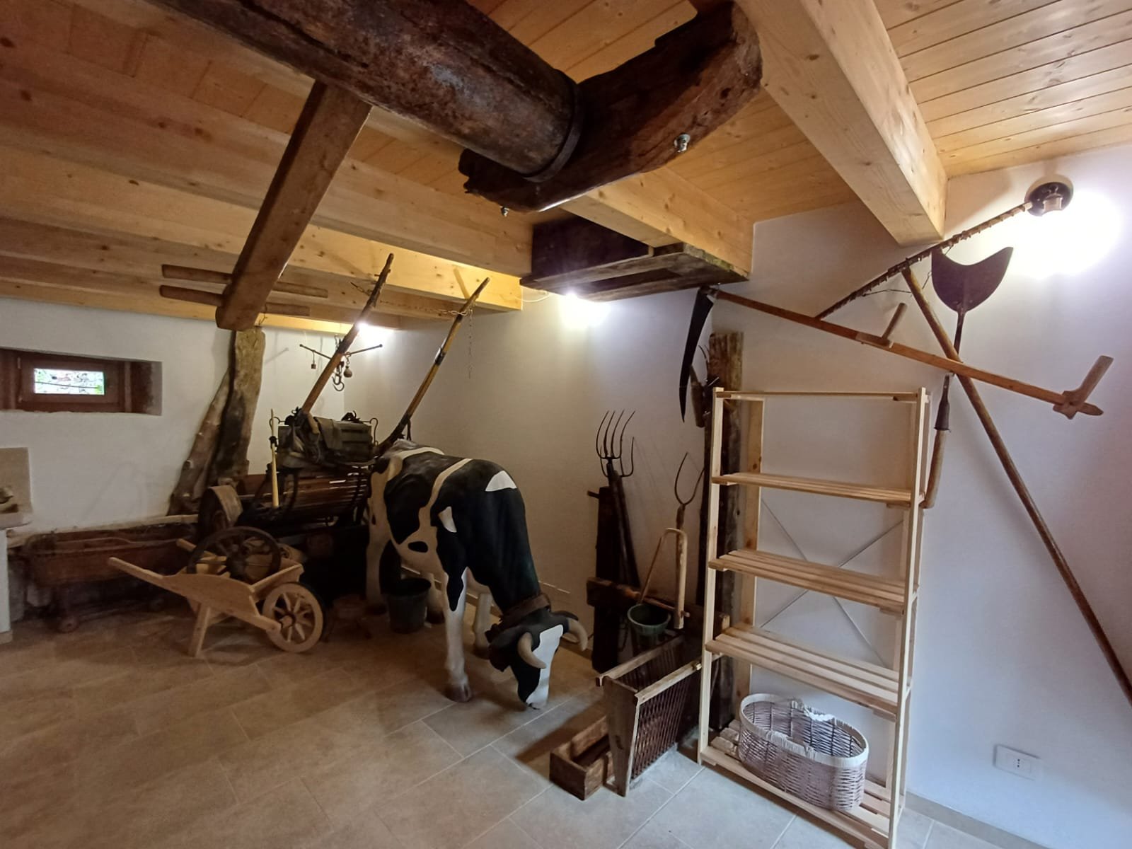 Immagine WhatsApp 2025-09-08 ore 11.00.23_fe547736