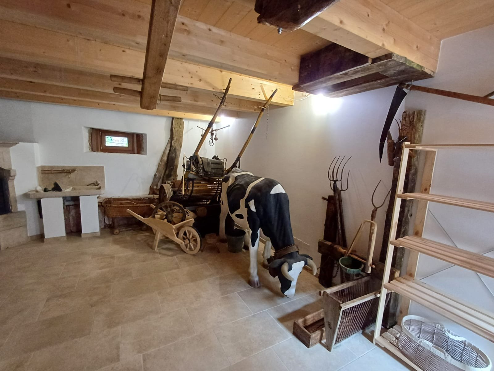 Immagine WhatsApp 2025-09-08 ore 11.00.24_4930997e