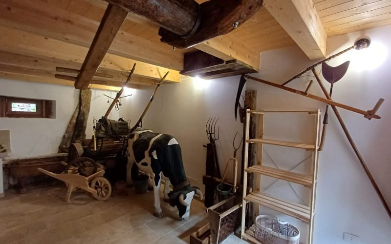 Immagine WhatsApp 2025-09-08 ore 11.00.23_fe547736