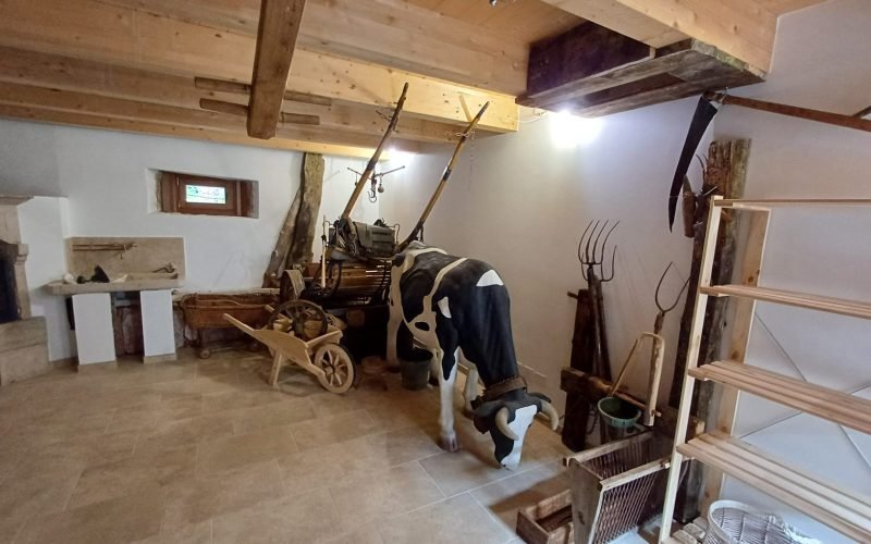 Immagine WhatsApp 2025-09-08 ore 11.00.24_4930997e