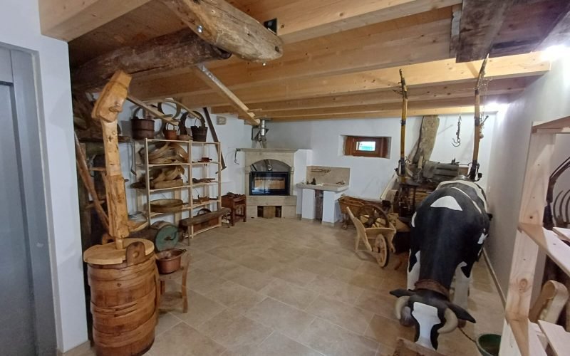 Immagine WhatsApp 2025-09-08 ore 11.00.25_602aeb13