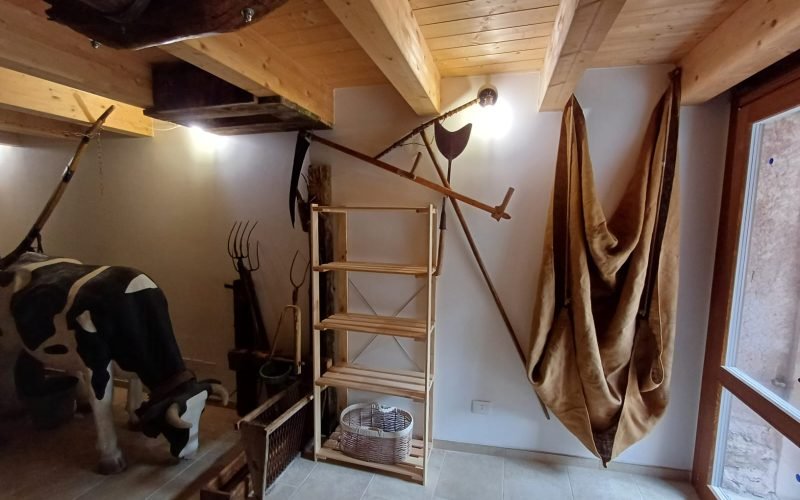 Immagine WhatsApp 2025-09-08 ore 11.00.25_de71e82d